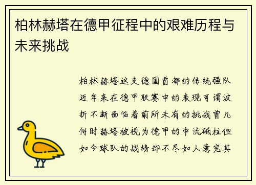 柏林赫塔在德甲征程中的艰难历程与未来挑战