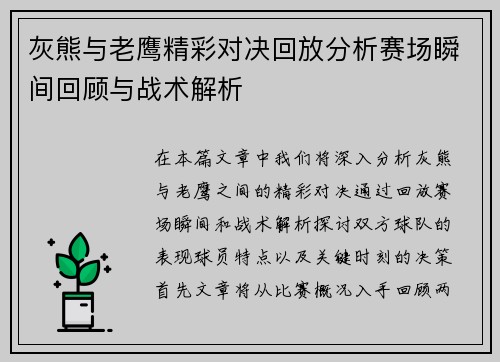 灰熊与老鹰精彩对决回放分析赛场瞬间回顾与战术解析