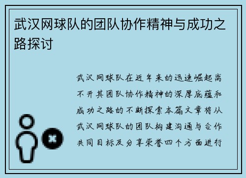 武汉网球队的团队协作精神与成功之路探讨