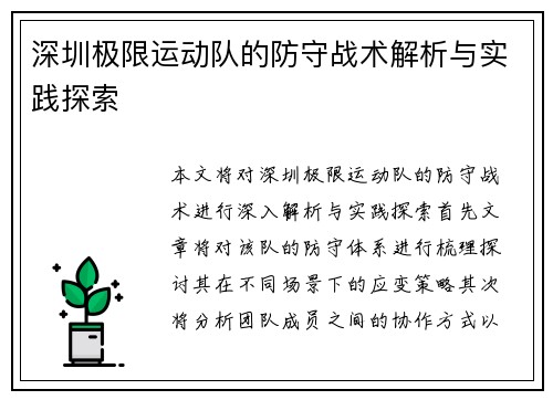 深圳极限运动队的防守战术解析与实践探索