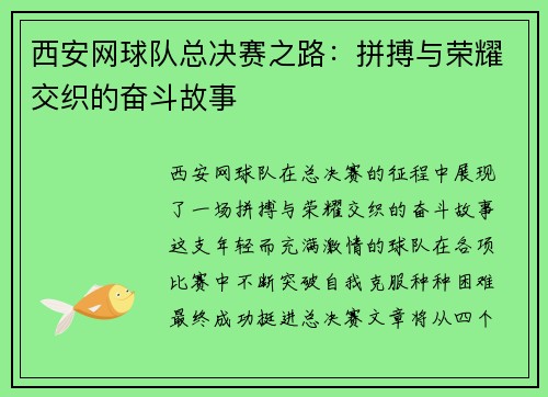 西安网球队总决赛之路：拼搏与荣耀交织的奋斗故事