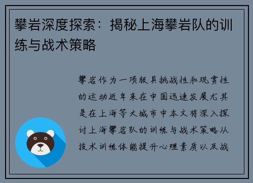攀岩深度探索：揭秘上海攀岩队的训练与战术策略