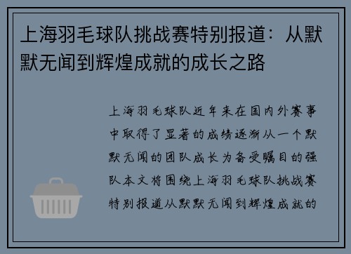 上海羽毛球队挑战赛特别报道：从默默无闻到辉煌成就的成长之路