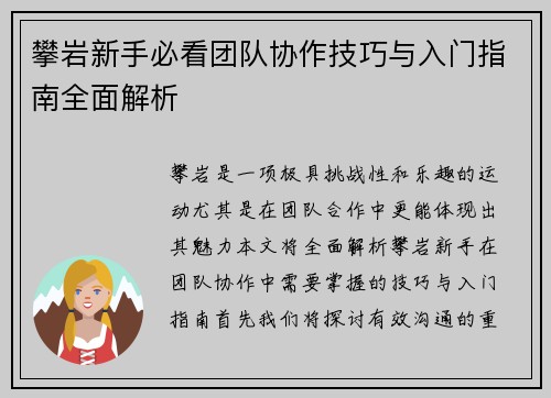 攀岩新手必看团队协作技巧与入门指南全面解析